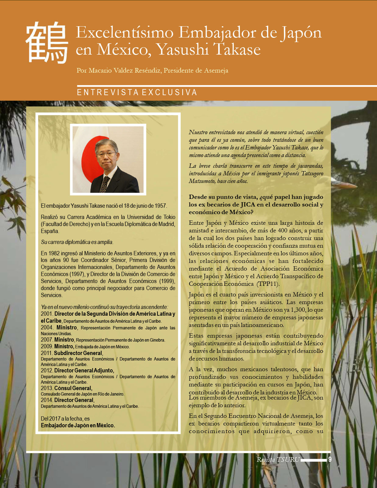 Revista Tsuru 2_B.cdr